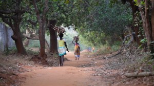 guinea-ca-foscari-mp4-00_01_30_21-still003