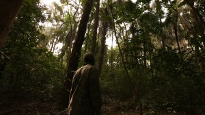 guinea-ca-foscari-mp4-00_04_20_05-still006