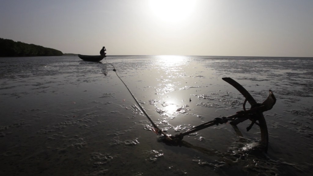 Bijagos – O paraiso da biodiversidade