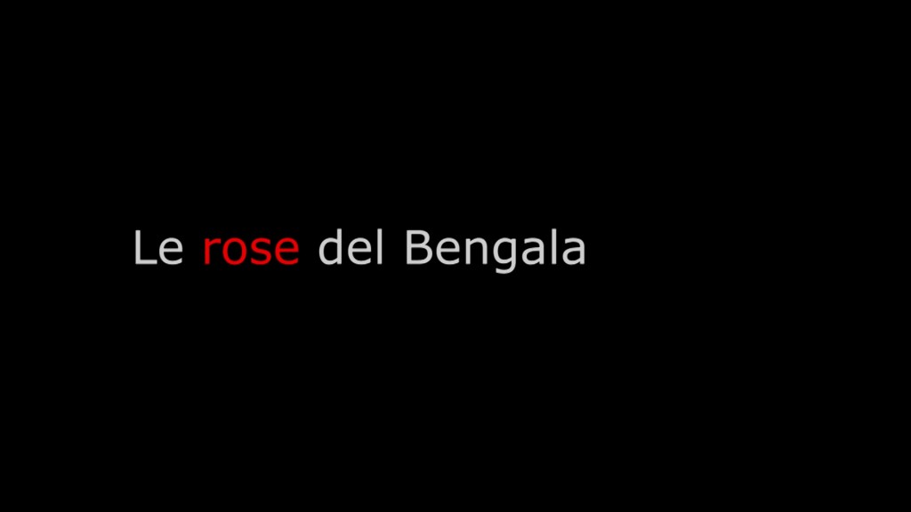 Le rose del Bengala